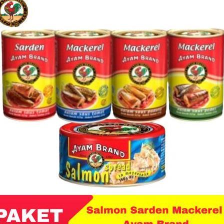 Ayam Brand Paket Ikan Salmon Sarden Maerel Kaleng
