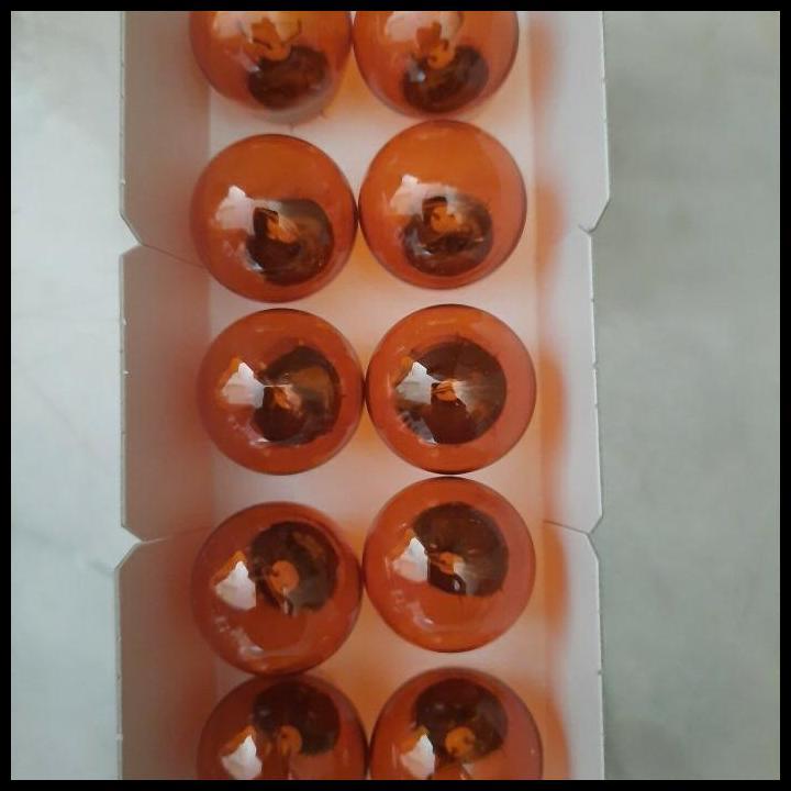 GRATIS ONGKIR BOHLAM LAMPU SEN SEIN BELAKANG AGYA AVANZA XENIA RUSH TERIOS CALYA 