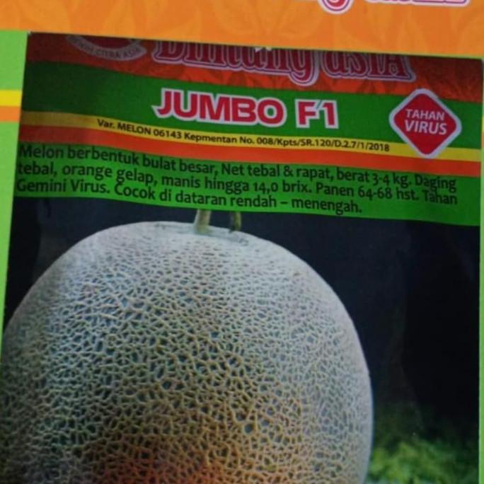 Melon JUMBO F1 "bintang asia"