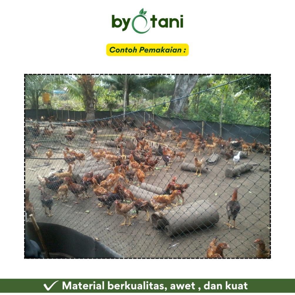 Bisa Cod Jaring Ayam 3 Meter / Jaring Kandang Ayam / Jaring Kebun / Jaring Serbaguna ><