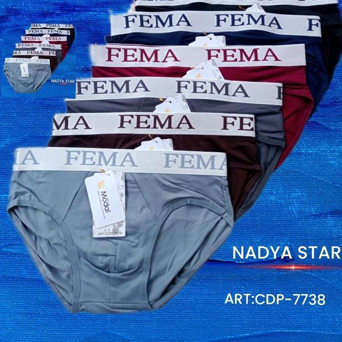 Gentle- 6Pcs Boxer Segitiga Pria Fema Celana Dalam Boxer Segitiga Fema