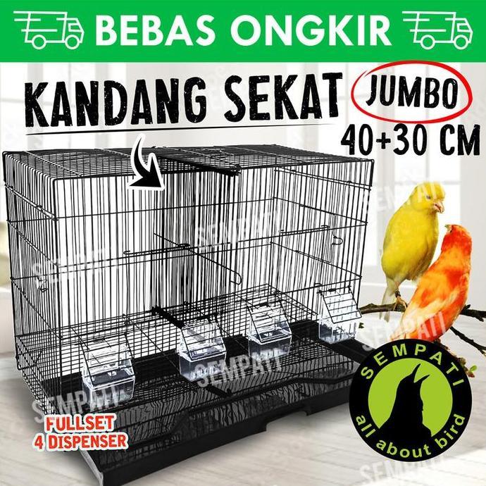 Kicaudor- Sangkar Kandang Umbaran Sekat 60X30X40 Kandang Ternak Burung Lovebird