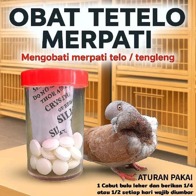 Kicaudor- Obat Merpati Telo  Merpati  Sembuh 100% , Merpati Tengleng Isi 25 Butir Manjur Terbukti