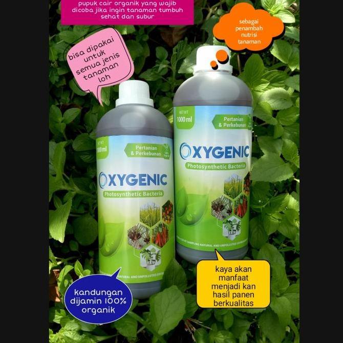 Joee- Psb Oxygenic Bakteri Fotosintesis Pupuk Cair Tanaman 1Liter