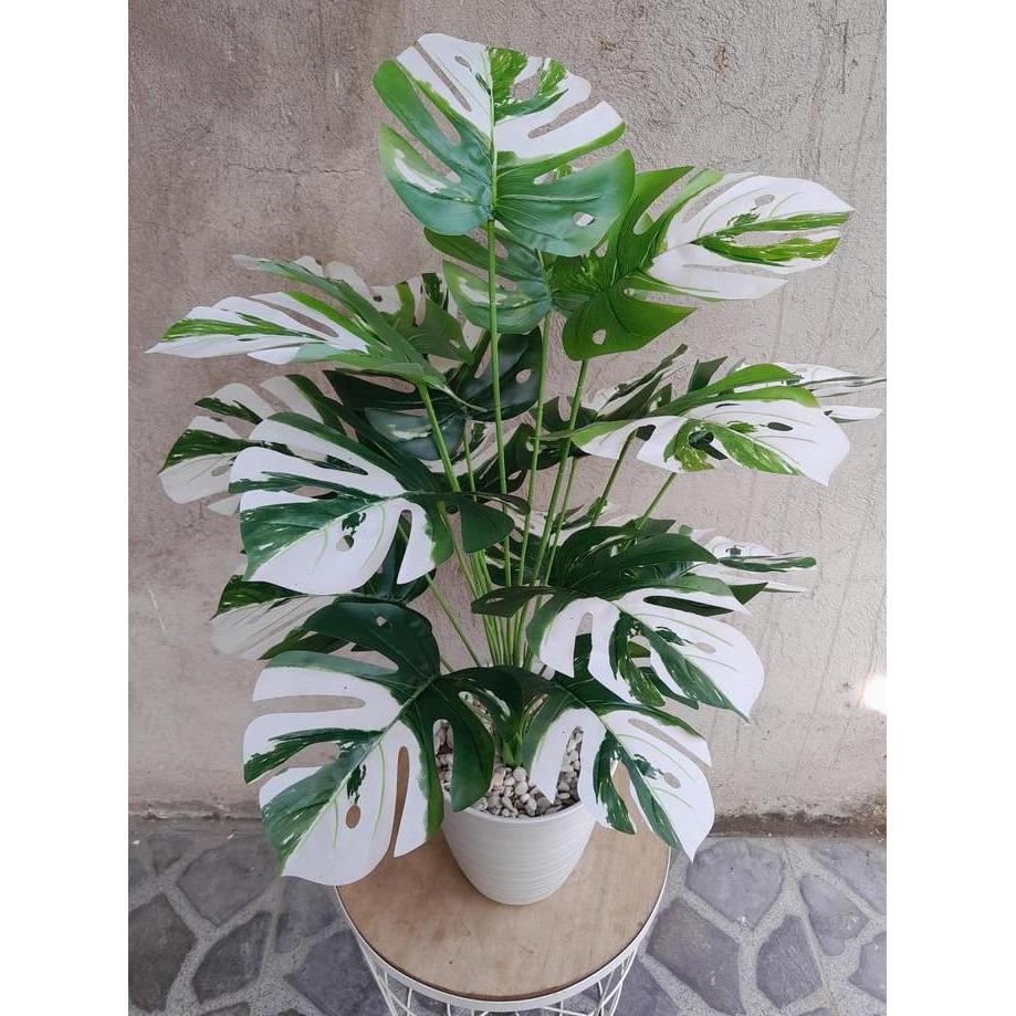 TANAMAN PALSU MONSTERA VARIEGATA 18 CABANG(SUDAH TERMASUK POT) Plastik Bunga