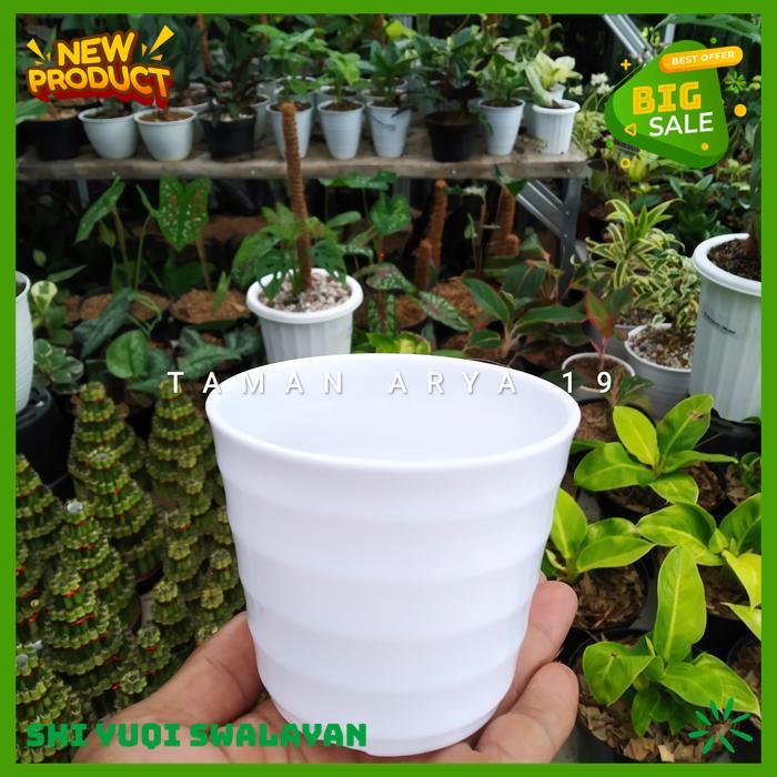 POT KECIL POT PUTIH MERK NO.10 BIJI BENIH TANAMAN POT BAHAN BERKUALITAS 