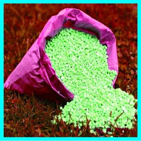 1/2 kg Pupuk BOOST 324 NPK 15 - 10 - 20 + TE cap Tawon Buah & Bunga murah