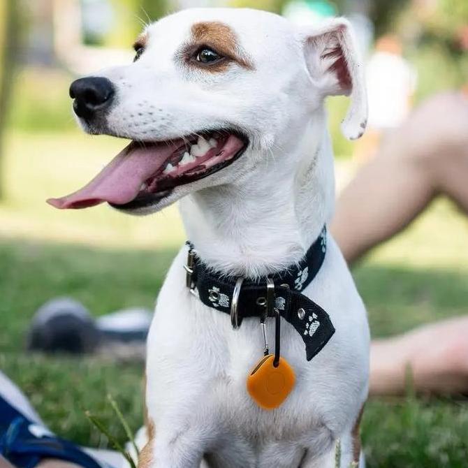 Silicone Case Cover Samsung Galaxy SmartTag with Keychain TPU samsung smart tag 1