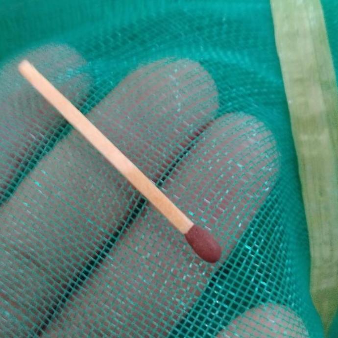 Keramba jaring apung hapa ikan 3x2x1 karamba tanjaran sortir plus tali