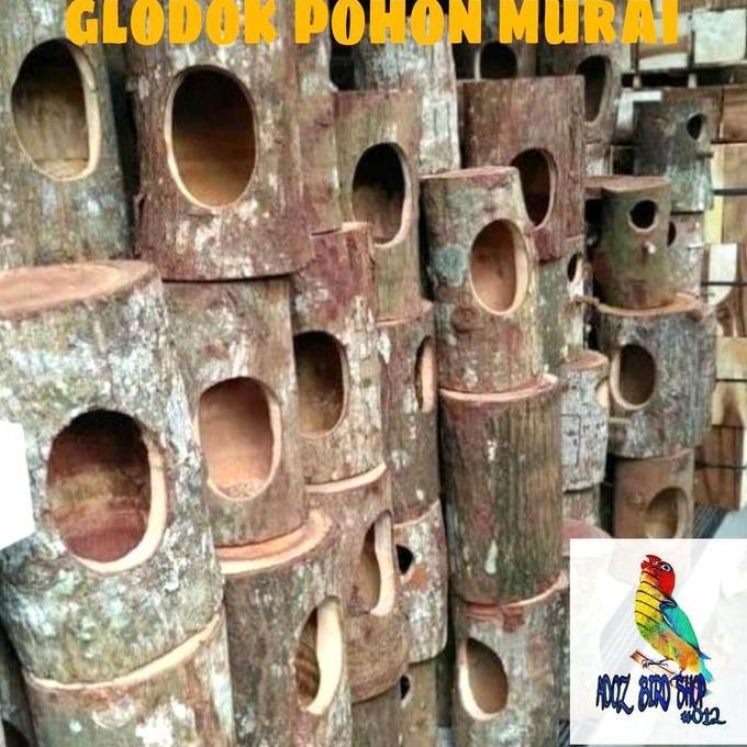 Dbutsu- Glodok Pohon Alami Batang Kayu Glodok Murai Sarang Ternak Telur