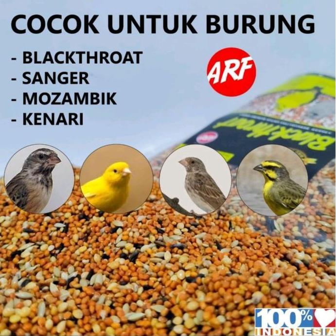 Dbutsu- Pakan Burung Blackthroat Sanger Mozambik Dengan Kandungan Protein Tinggi Untuk Harian & Tern