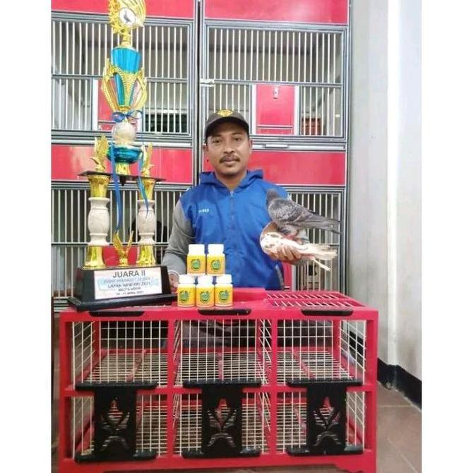 Dbutsu- Jamu Merpati Perfect Power Isi 100 Butir Perfect Power Merpati Jamu Herbal Merpati