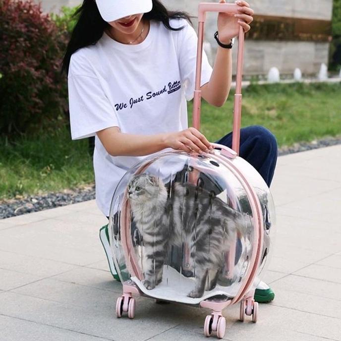 Sale Tas Troli Transparan | Pet Cargo | Tas Anjing Kucing