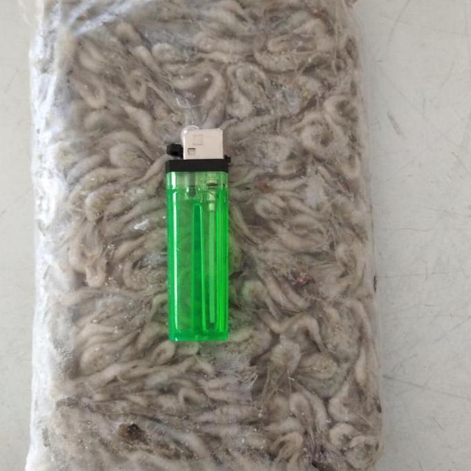 Sakan- Udang Beku Pakan Ikan 500Gr, Pakan Ikan Predator, Pakan Ikan Oscar