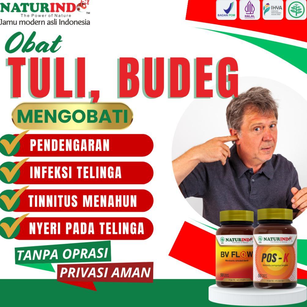 READY Obat Telinga Budeg Telinga Berdengung Obat Telinga Berair Dan Bau Telinga Tersumbat Ampuh