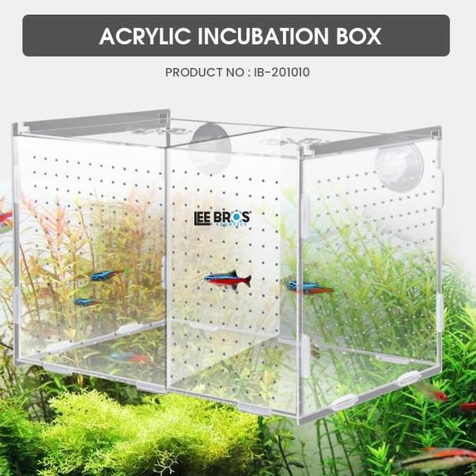 Altx- Acrylic Incubation Box / Isolation Box / Akrilik Karantina Ikan