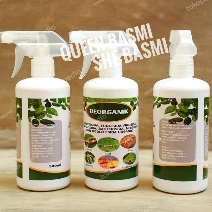 BEORGANIK obat hama tanaman, ulat, kutu putih, semut, hama daun