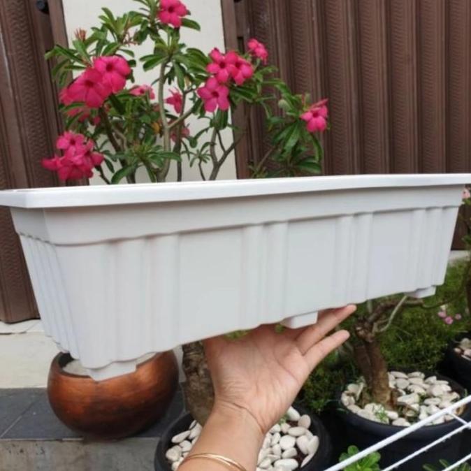 Pot panjang Alpen 50, Pot bunga segi panjang, alas alpen bentuk kotak panjang