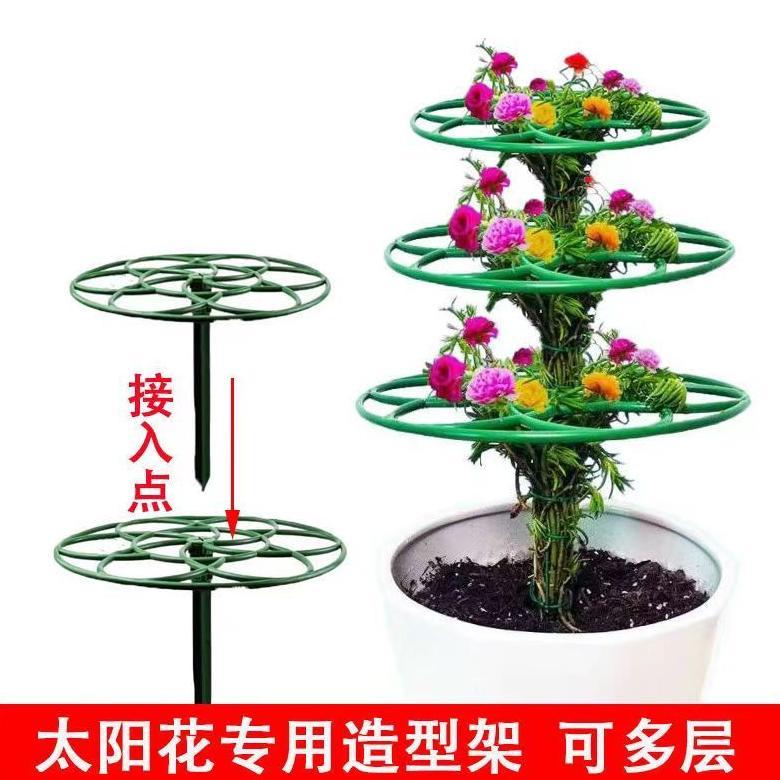 Promo Cod Tiang Tanaman Kawat Tanaman Peyanggga Tanaman Rambat Tiang Penompak Bunga Rambatan Tanaman