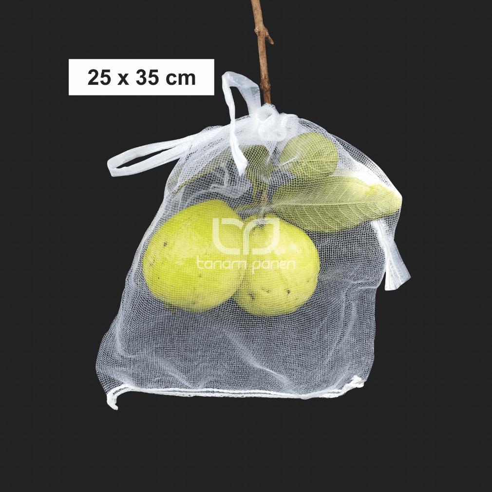 Promo Cod Fruit Cover Brongsong Anggur 25X35Cm - Jaring Pembungkus Buah Anggur ...