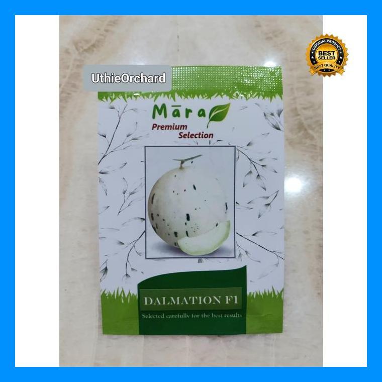 (Diskon) Mara Premium Selection - Benih Melon Dalmation F1 Bestseller