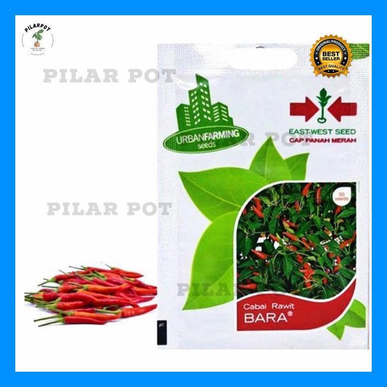 (Diskon) Benih Bibit Cabai Rawit Bara Cap Panah Merah - Cabai Rawit Bara Bestseller