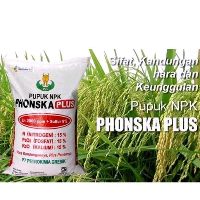 Terlaris Pupuk Npk Phonska Plus 15 15 15 Petro Pupuk  Phonska Plus