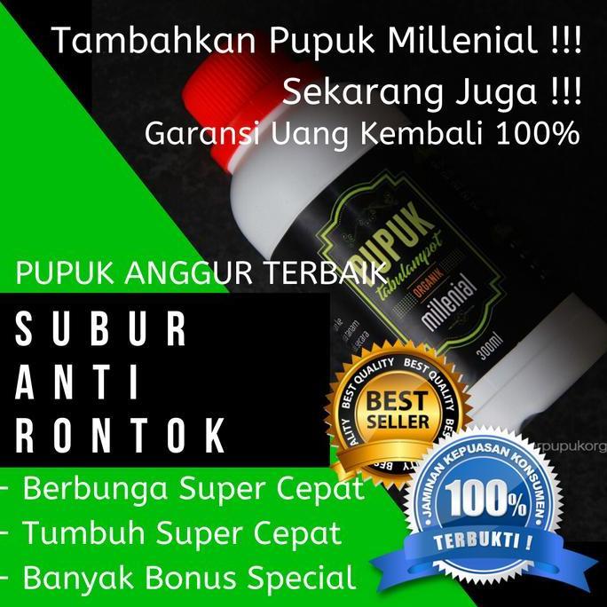 Terlaris Pupuk Anggur Agar Berbuah Lebat Pupuk Anggur Agar Cepat Berbuah 5