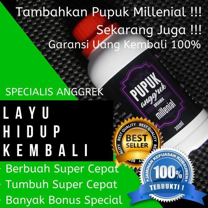 Terlaris Pupuk Alami Untuk Anggrek Bulan, Pupuk Anggrek Bulan Terbaik, 3