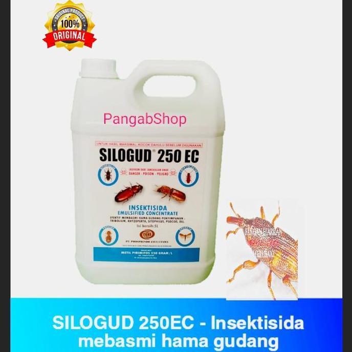 Insektisida Efektif Basmi Hama Gudang Silogud 250EC dengan spraying