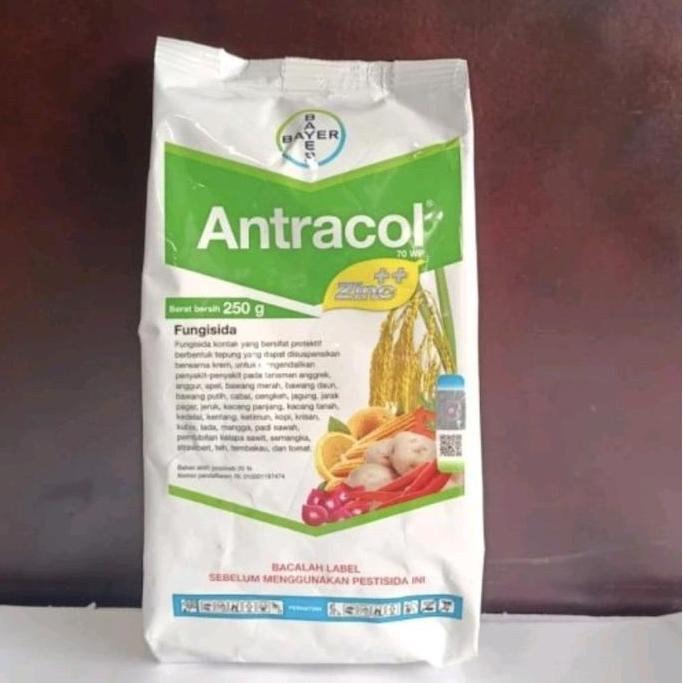 Fungisida ANTRACOL 250GR