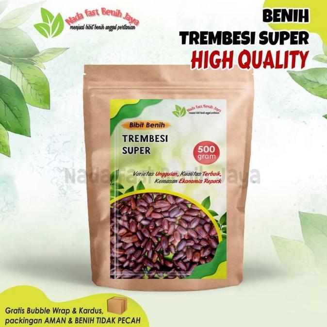 500 Gram Biji benih pohon trembesi super / bibit tanaman biji trembesi