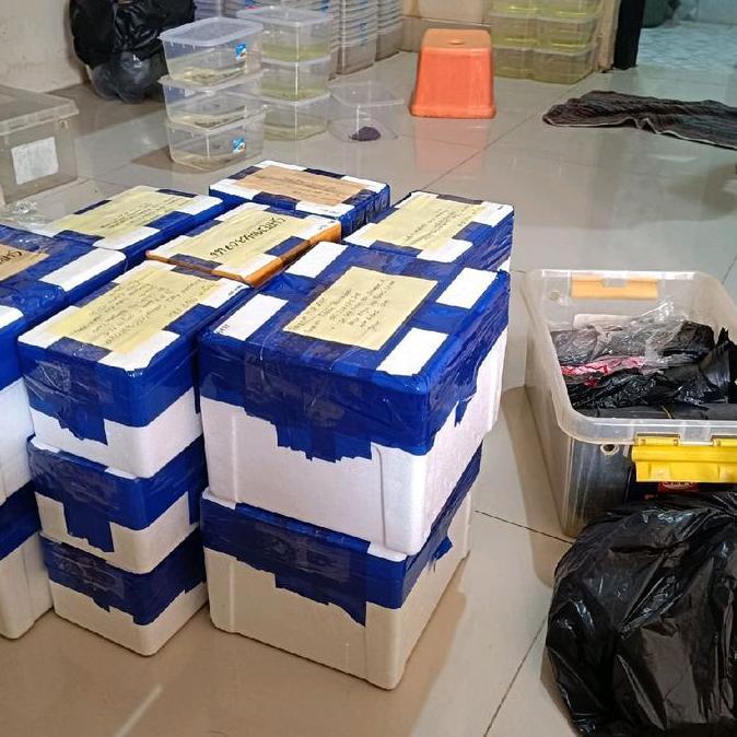 BOX STYROFOAM AURANTI WC GRADE B