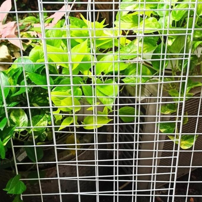 TERBARU - RAM RAK BESI VERTICAL GARDEN DINDING PUTIH