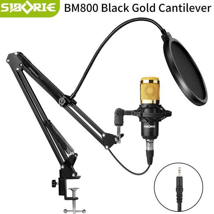 Exclusive Siborie&rondoidolaku Soundcard F999+BM800+H2+OTG-2 IN 1