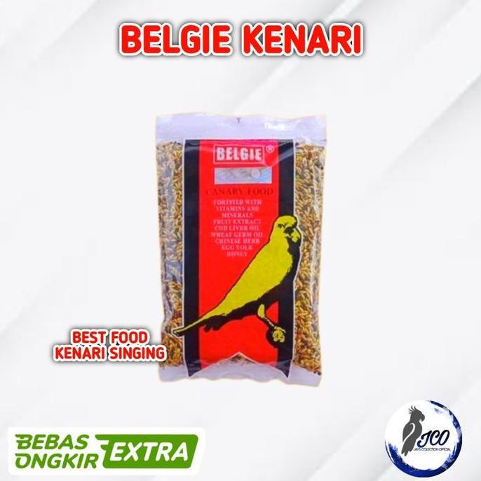TERBARU PAKAN BURUNG KENARI BELGIE BELGIE PAKAN BURUNG KENARI