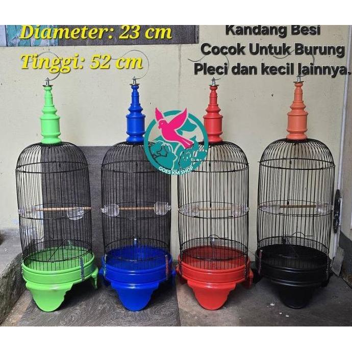 TERLARIS - KANDANG BESI PLECI SANGKAR PLECI SANGKAR BURUNG KECIL