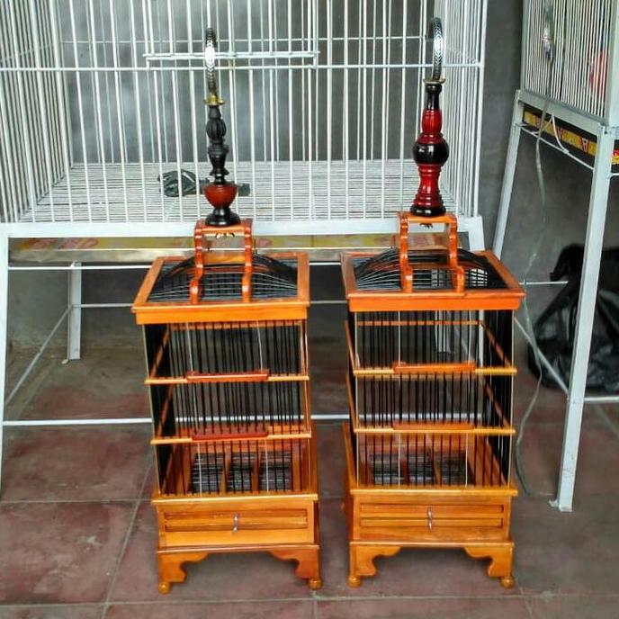TERLARIS - Kandang burung pleci dll kayu jati pernisan melamin mengkilap