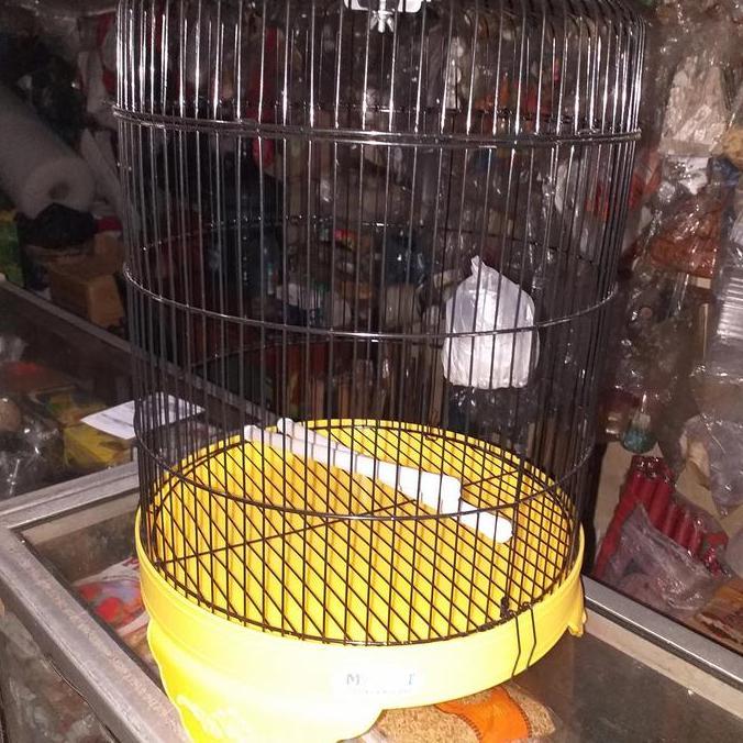 PROMO - Kandang love bird pendek my best satu set
