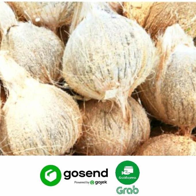 KELAPA PARUT TUA/MUDA SEGAR (1 BUTIR) - SANTAN/PEPES/RAGAM OLAHAN KUE