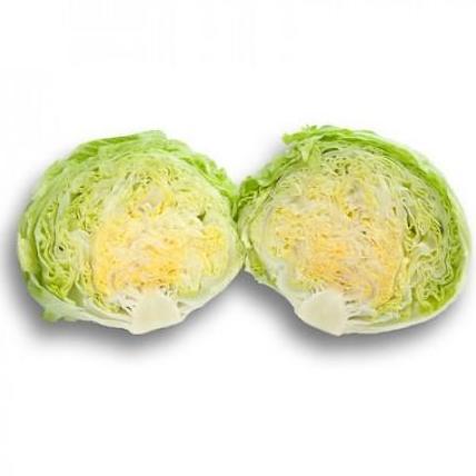 Benih Selada BRUMA RZ Repack 25 Pills Iceberg Lettuce Rijk Zwaan