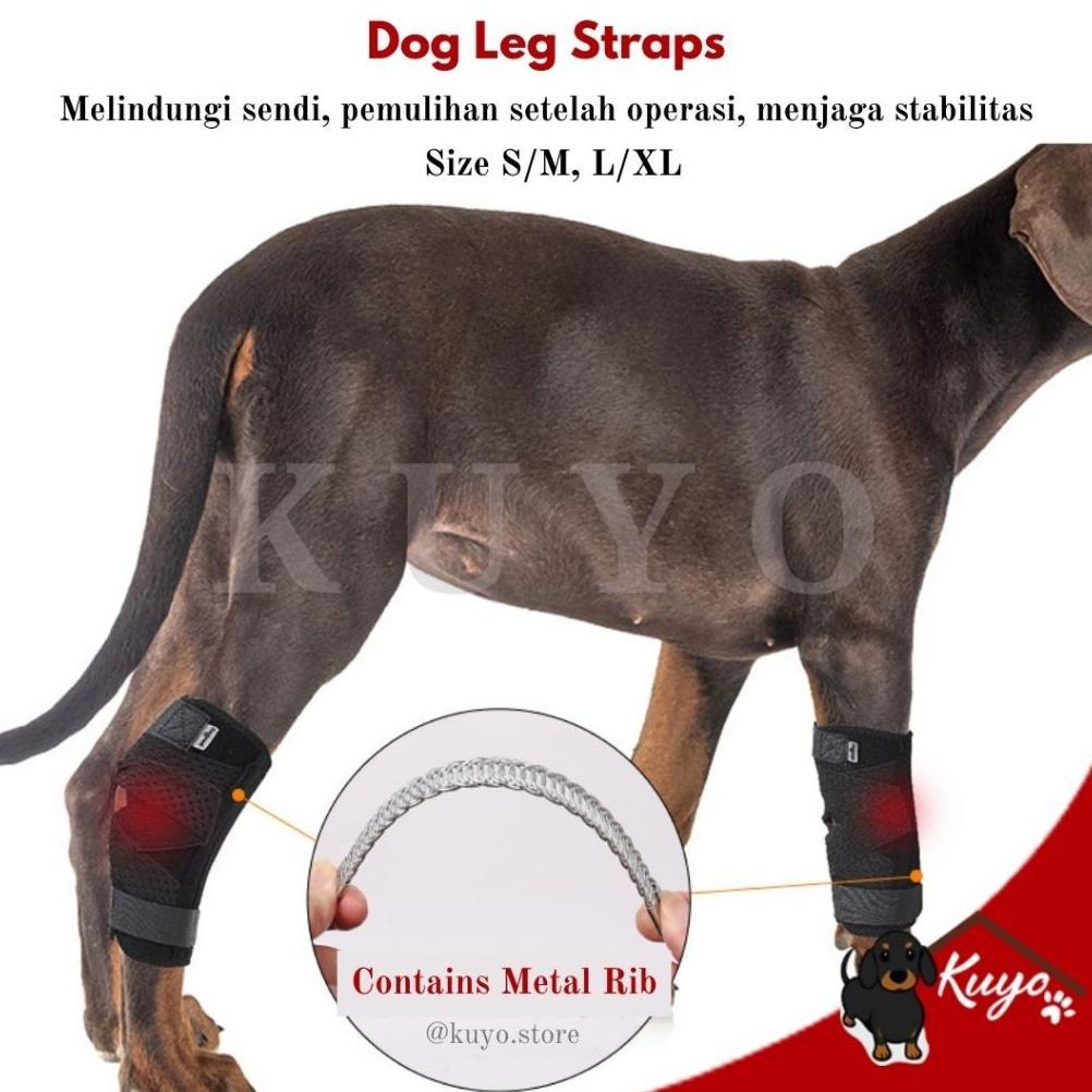 Dog Knee Brace Bandage Leg Straps Post Surgery Support Recovery - Pelindung Tali Perban Kaki Lutut A