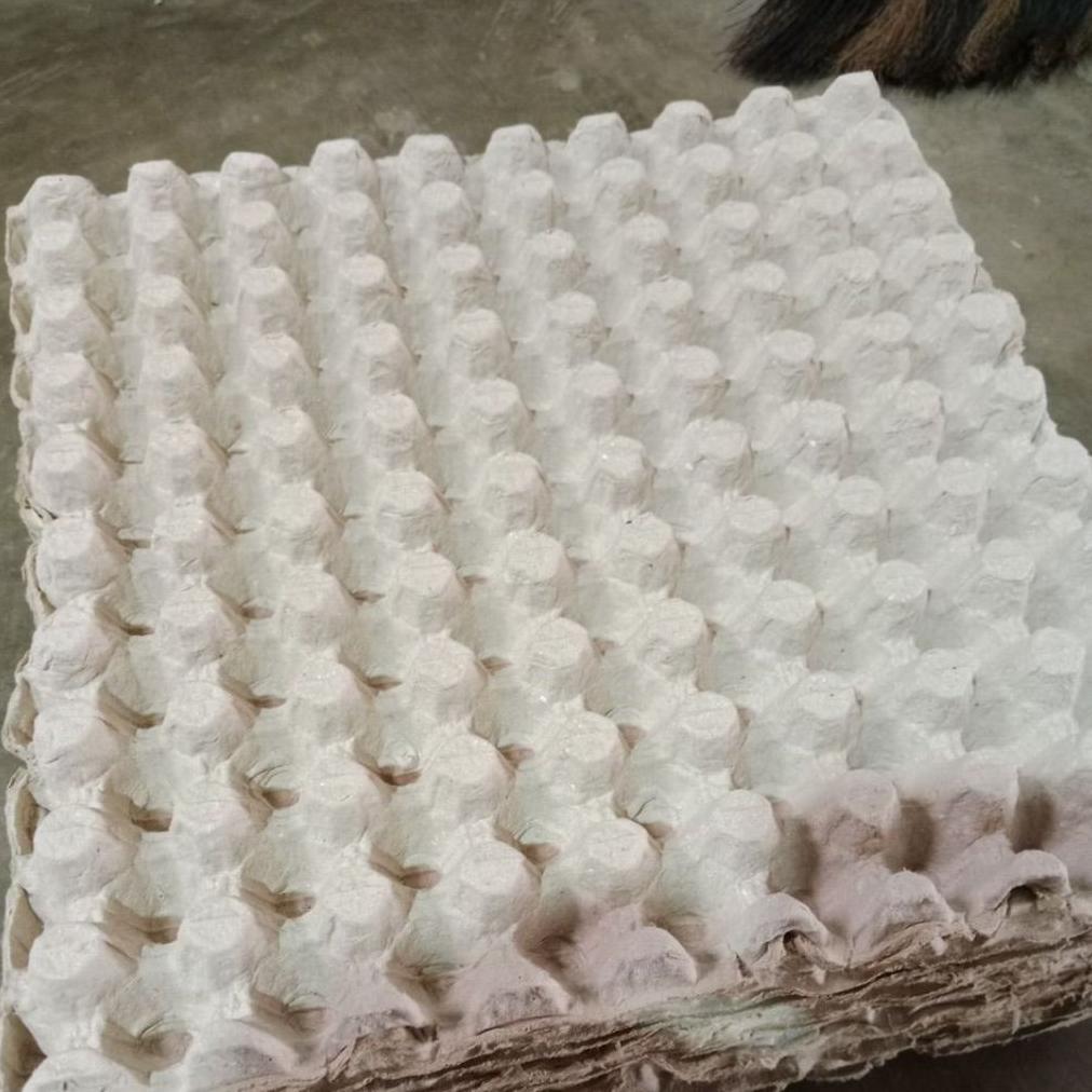 Bisa Cod Tray Telur Puyuh /Tempat Telur Puyuh ||