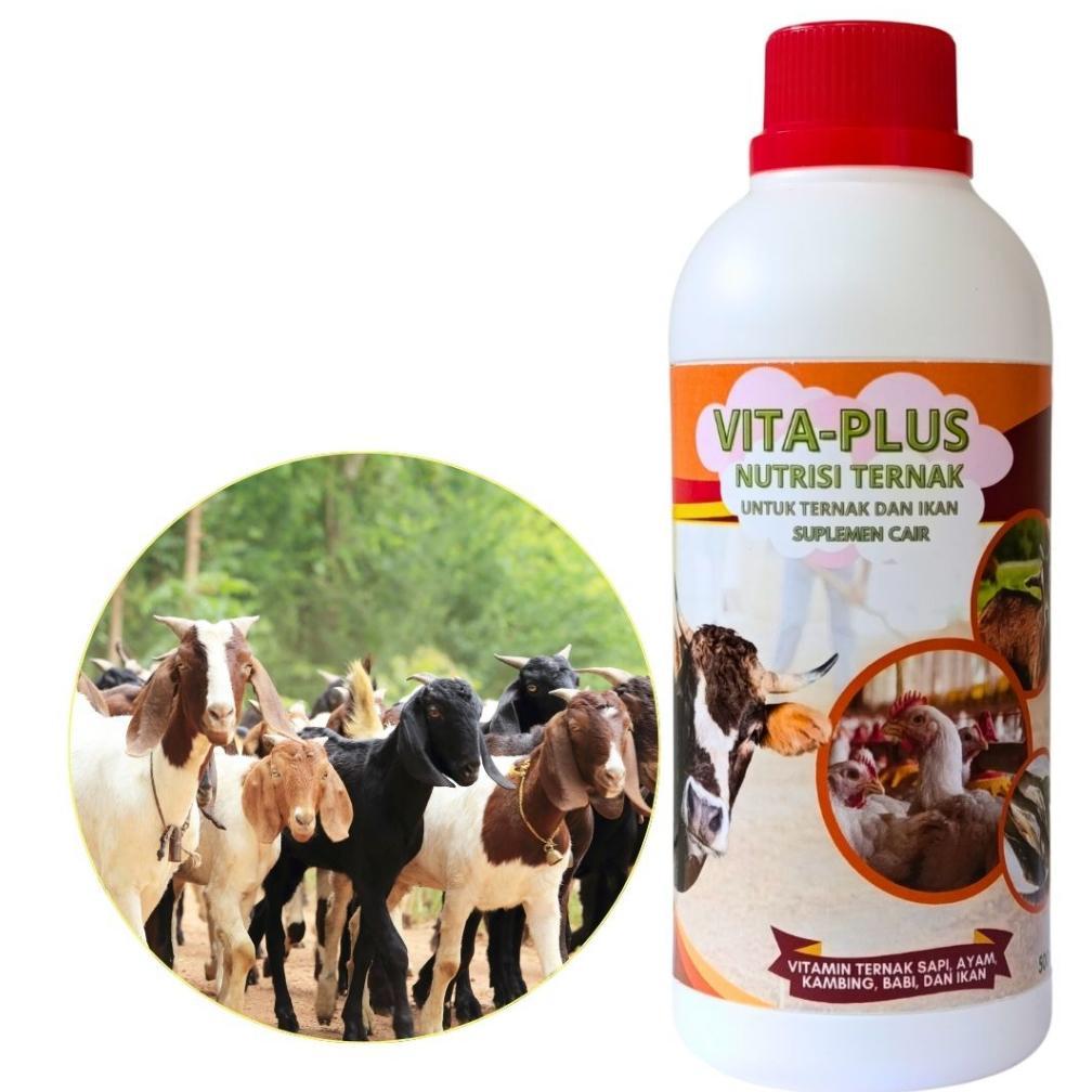 Vitaplus Vitamin Kambing Agar Cepat Gemuk Obat Kambing Penambah Nafsu Makan Penggemuk Ternak Kambing