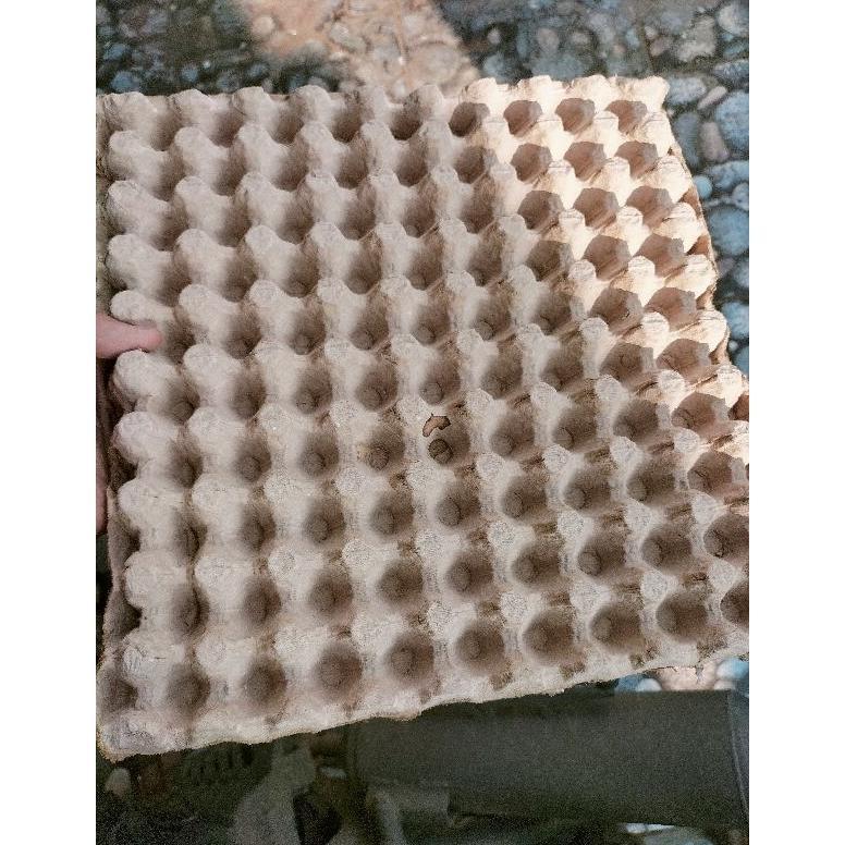 Tempat telor puyuh karton bekas / Egg Tray Telur puyuh Murah
