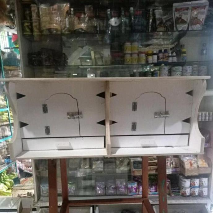 Kandang Burung Dara Gupon Dara Original