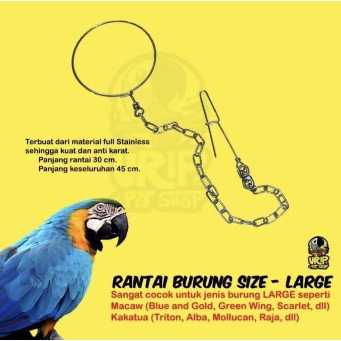 Rantai Burung Stainless Sunconure Nuri Kakaktua Macaw