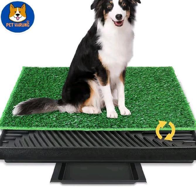 Pet Potty Tray Alas Pipis Anjing - Dog Toilet with Grass Large