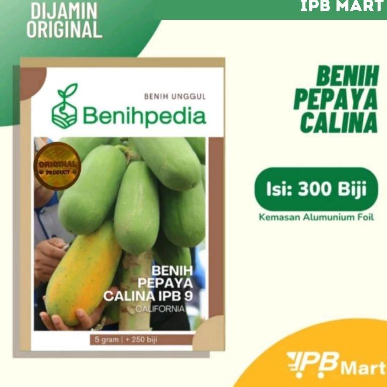 Benih Pepaya Calina IPB 9 / California 5 Gram