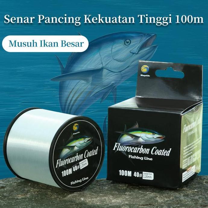 Grasihendy - Senar Pancing Fluorocarbon Coated 1m Nylon 0.6mm1.2mm Tenggelam Kuat Galatama Ikan Besa